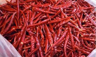 火锅底料在哪里批发