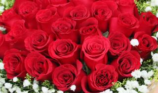 情人节最好看的图片